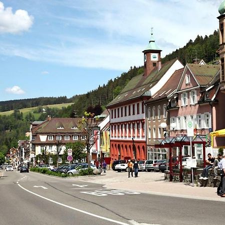 H-Apartment 1 Triberg im Schwarzwald Exterior foto